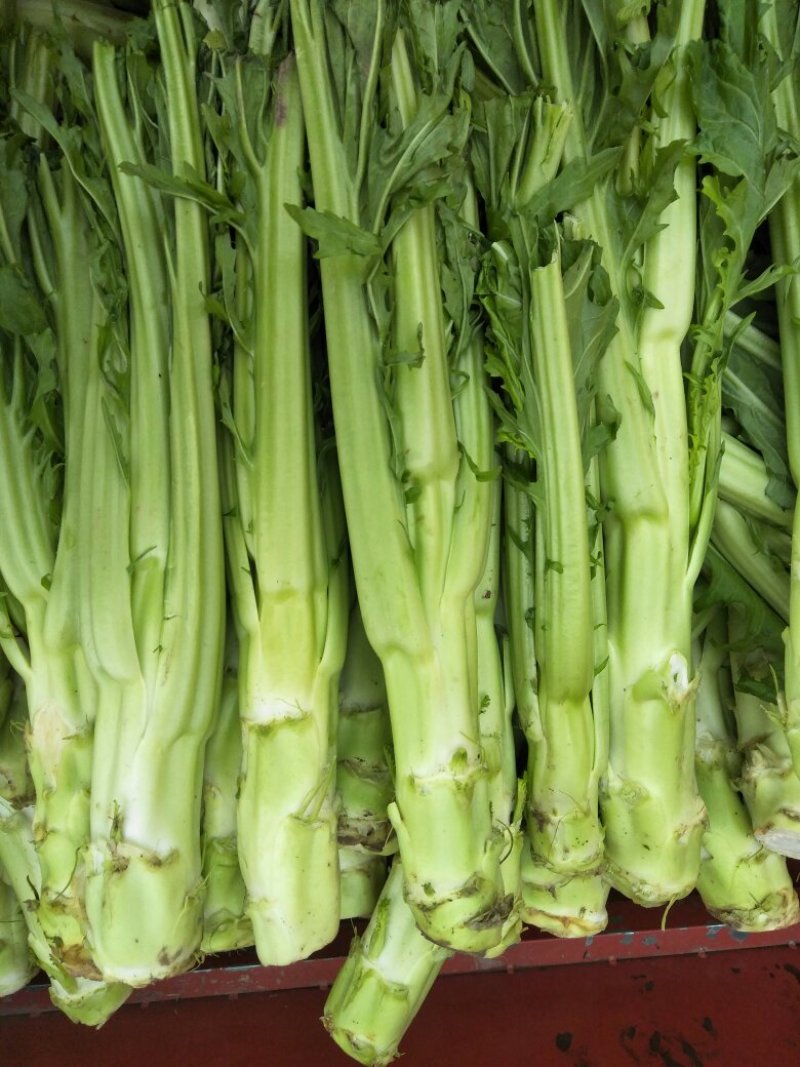 棒菜