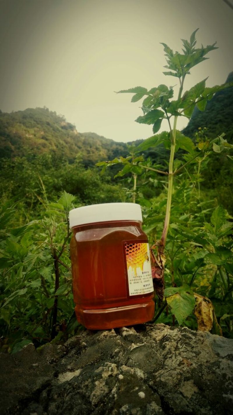 凉山原生态蜂蜜