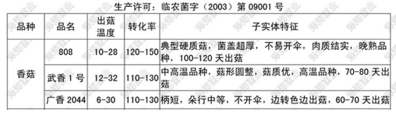 香菇原种二级种椴木种植木头打洞种植零售批发