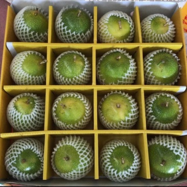 黄金百香果