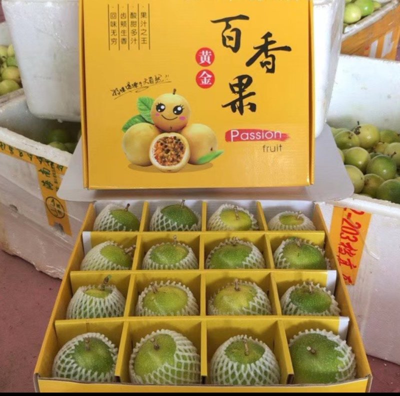 黄金百香果