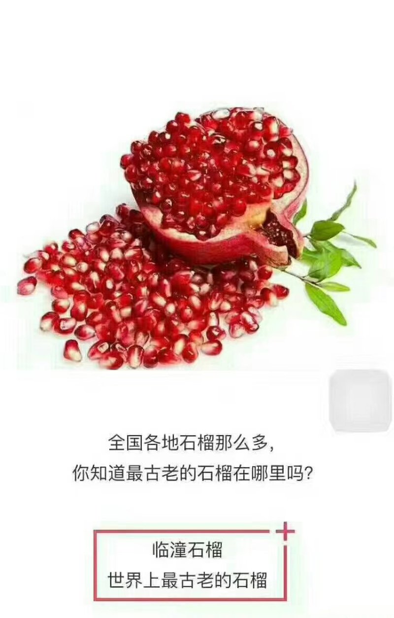 临潼石榴中果礼盒装红心超甜一件代发产地直发6枚中果