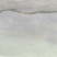 河鲈