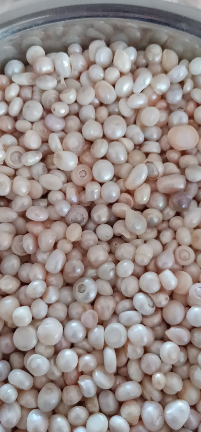 珍珠中药材药用珍珠珍珠粉美容养颜