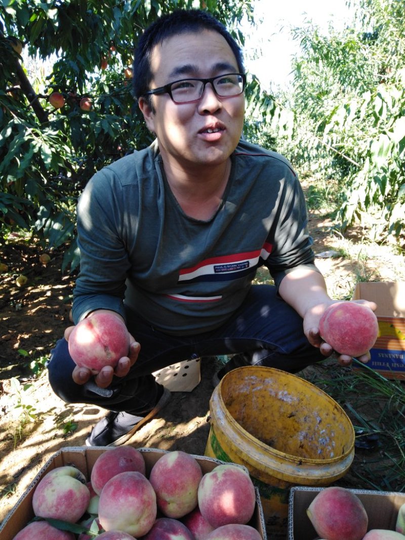 大红冠，大量现货，一千公里内当天送达