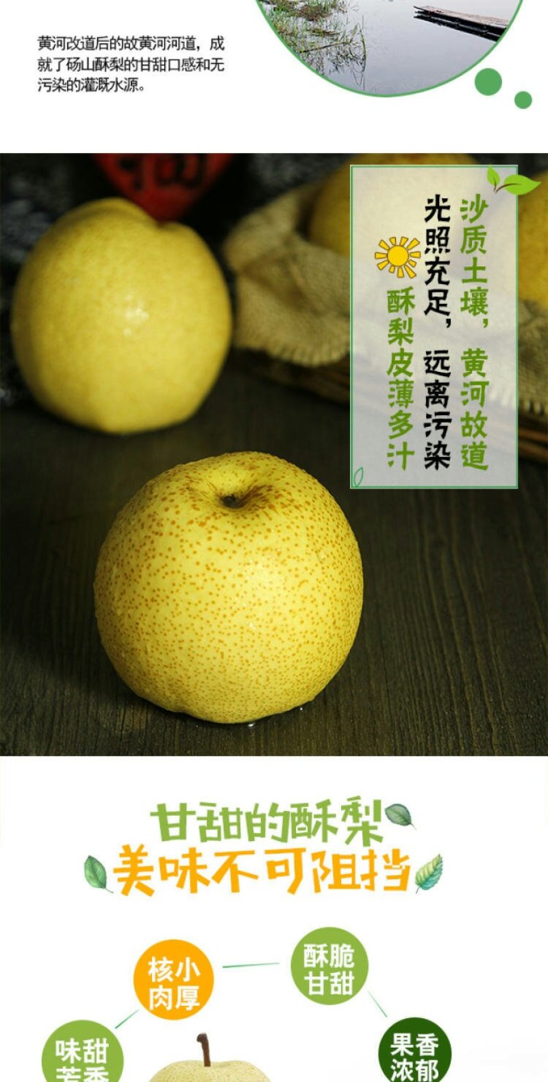 砀山酥梨黄桃罐头精品