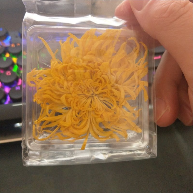江西修水县金丝皇菊一朵一杯菊花茶