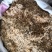 麦芽河北干货2斤起包邮欢迎选购