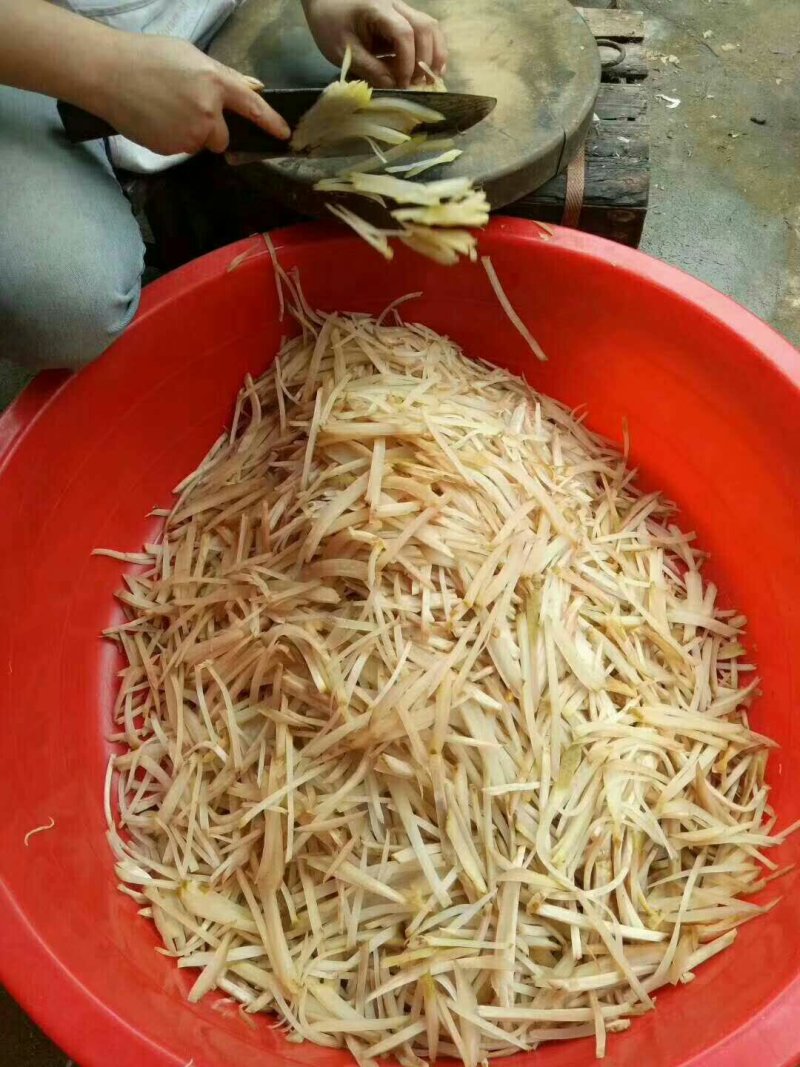 大头菜