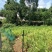 四川省蓬安县茶亭乡班竹林村