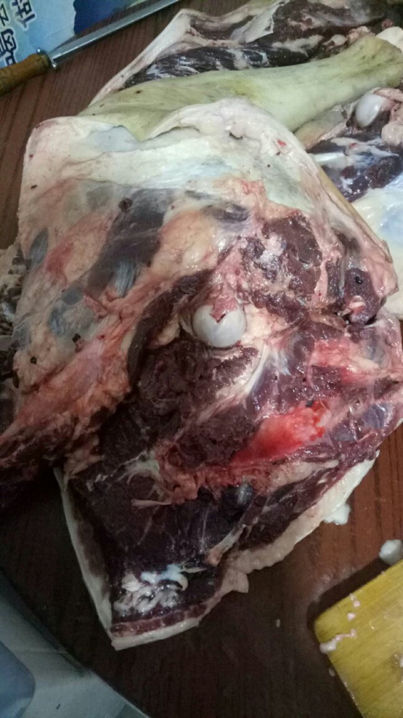 新鲜驴肉！