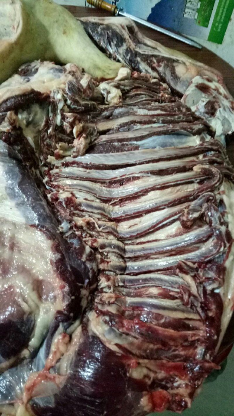 新鲜驴肉！