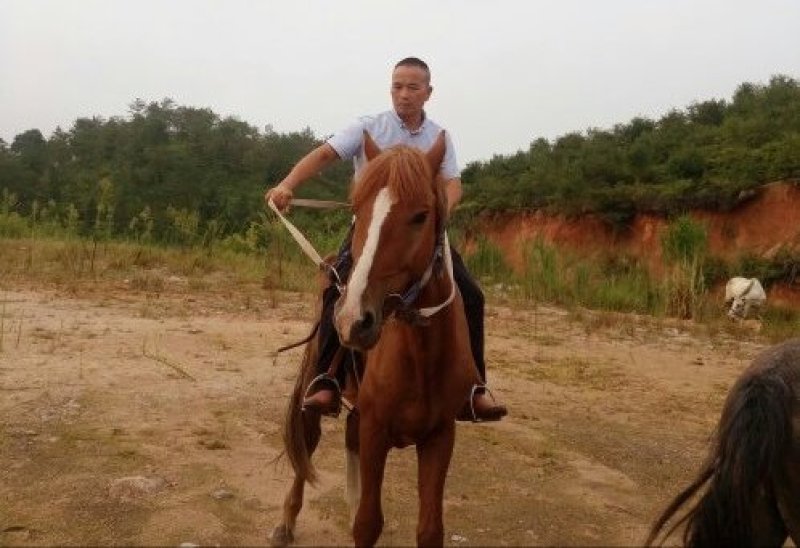 乘骑马🐴