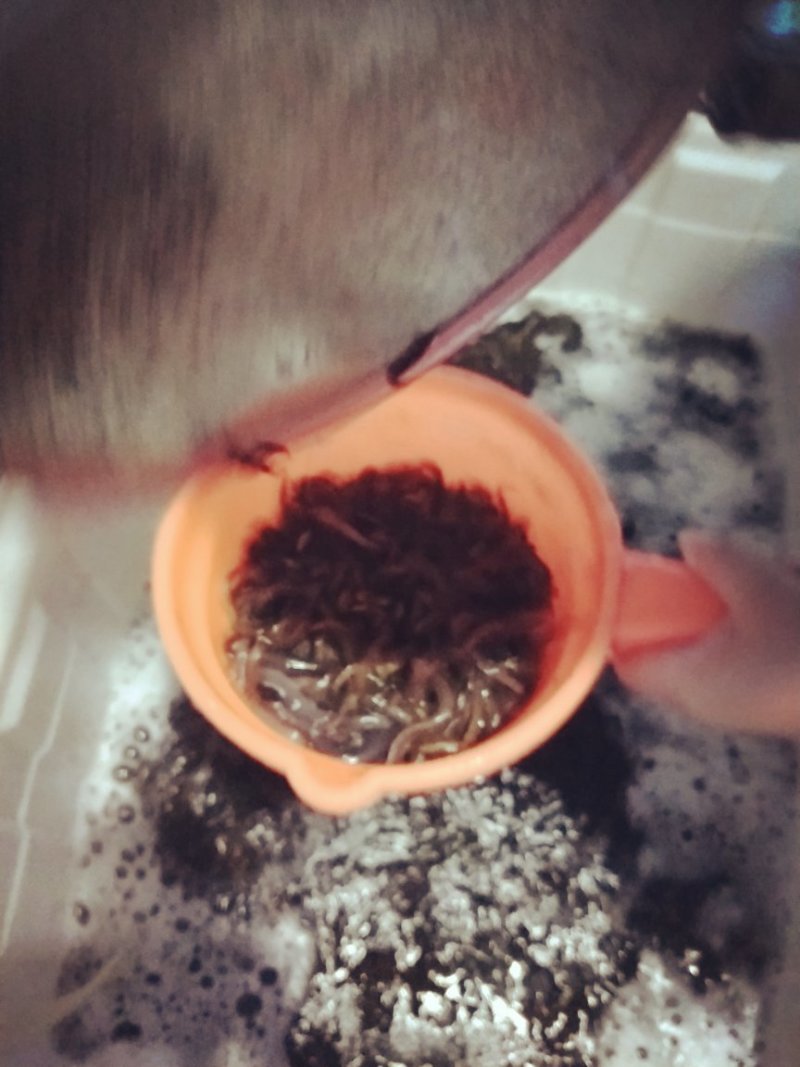 台湾泥鳅苗，量大从优！可以面谈
