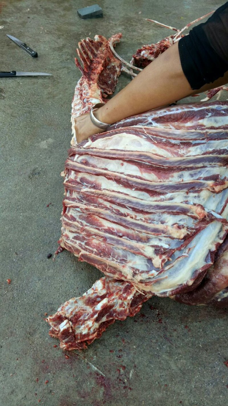 天上龙肉！地上驴肉！