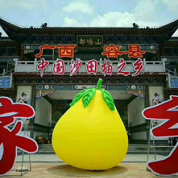 广西容县沙田柚