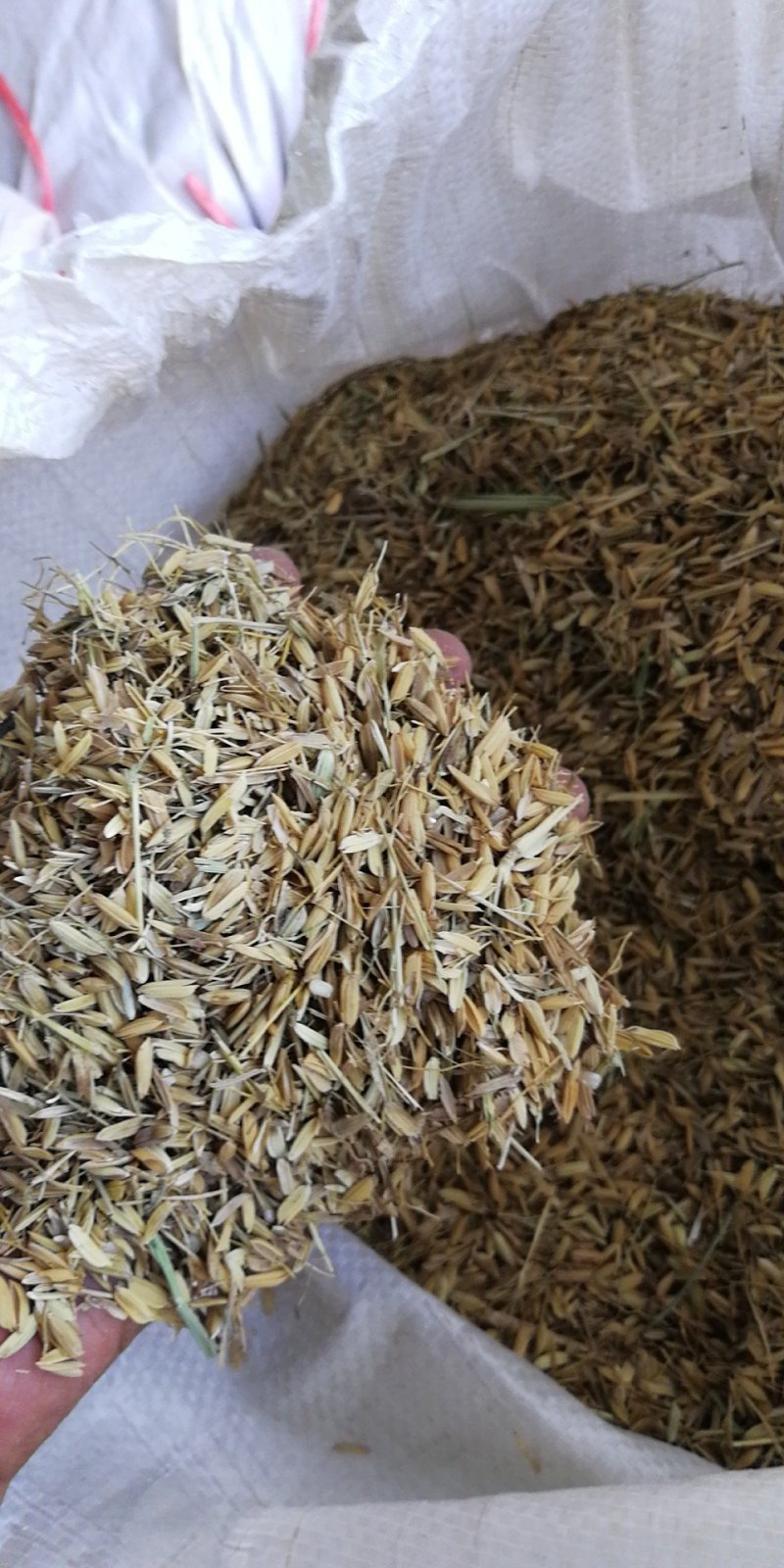 牛粪，鸡粪，谷壳，瘪谷一直在供应中，现在还增加杂木糠销售