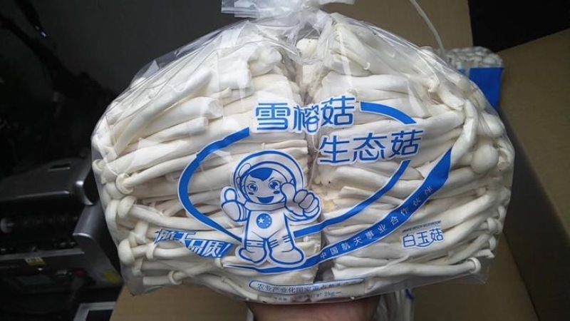 白玉菇特级1%