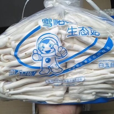 白玉菇特级1%