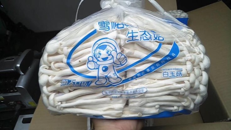 白玉菇特级1%