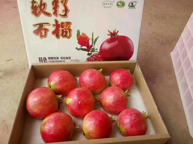 会理软籽石榴突尼斯软籽石榴特大果8.5斤包邮