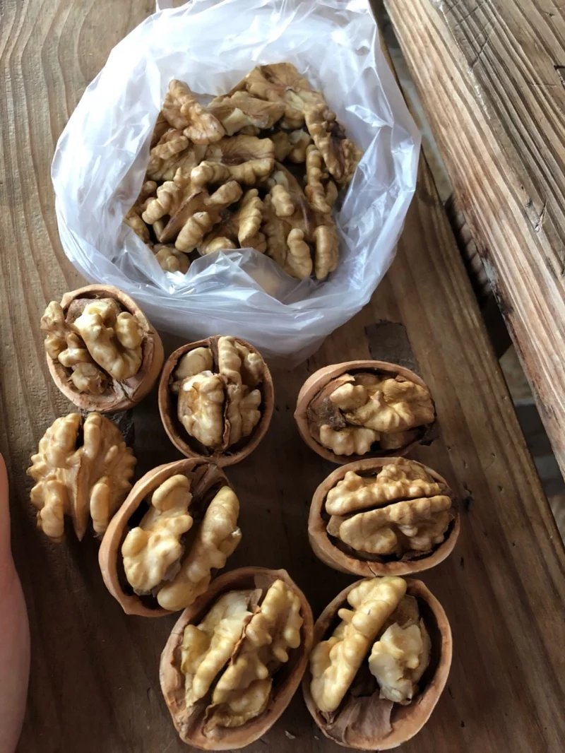 正宗陕西老树山核桃野生薄皮孕妇新鲜干核桃五斤包邮。