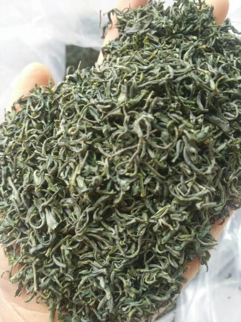 汉中绿茶