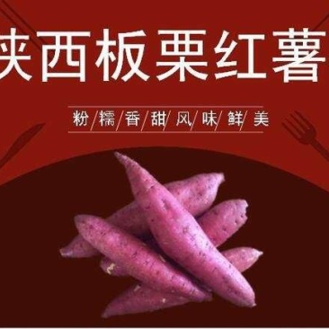 板栗蜜薯