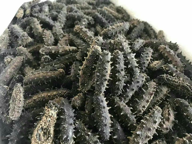 淡干海参，