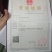 大量供应茶梅小苗，茶梅色块苗