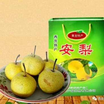 希望有识之士可以一起打造高端安梨品牌。