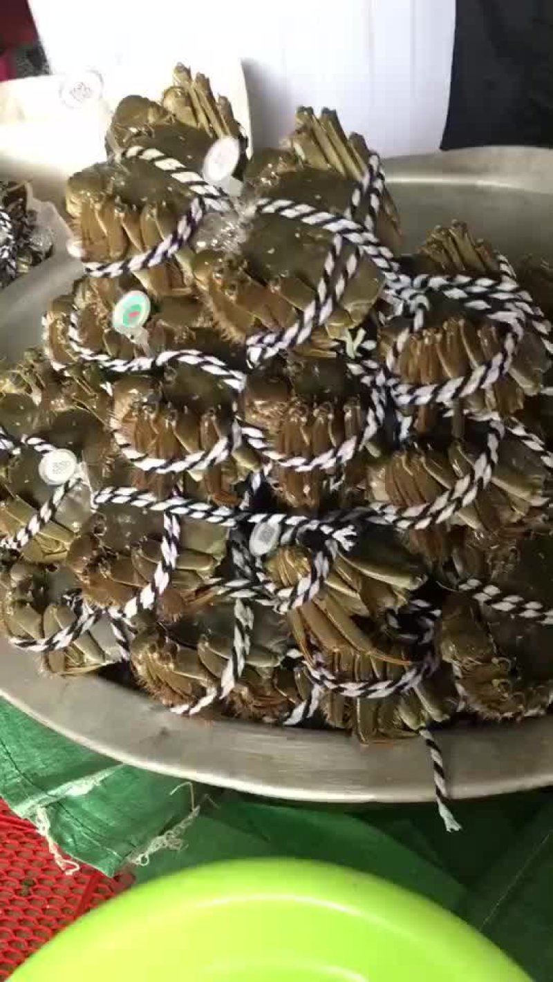 洪泽湖精品大闸蟹自产自销批发零售全国供货量大从优