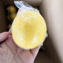 柠檬