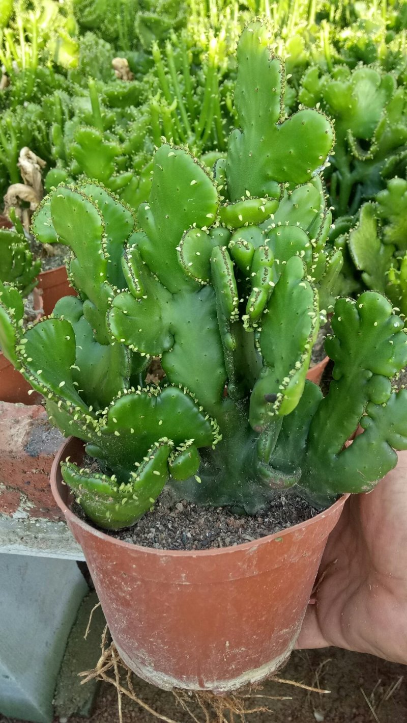 有您喜欢的吗？