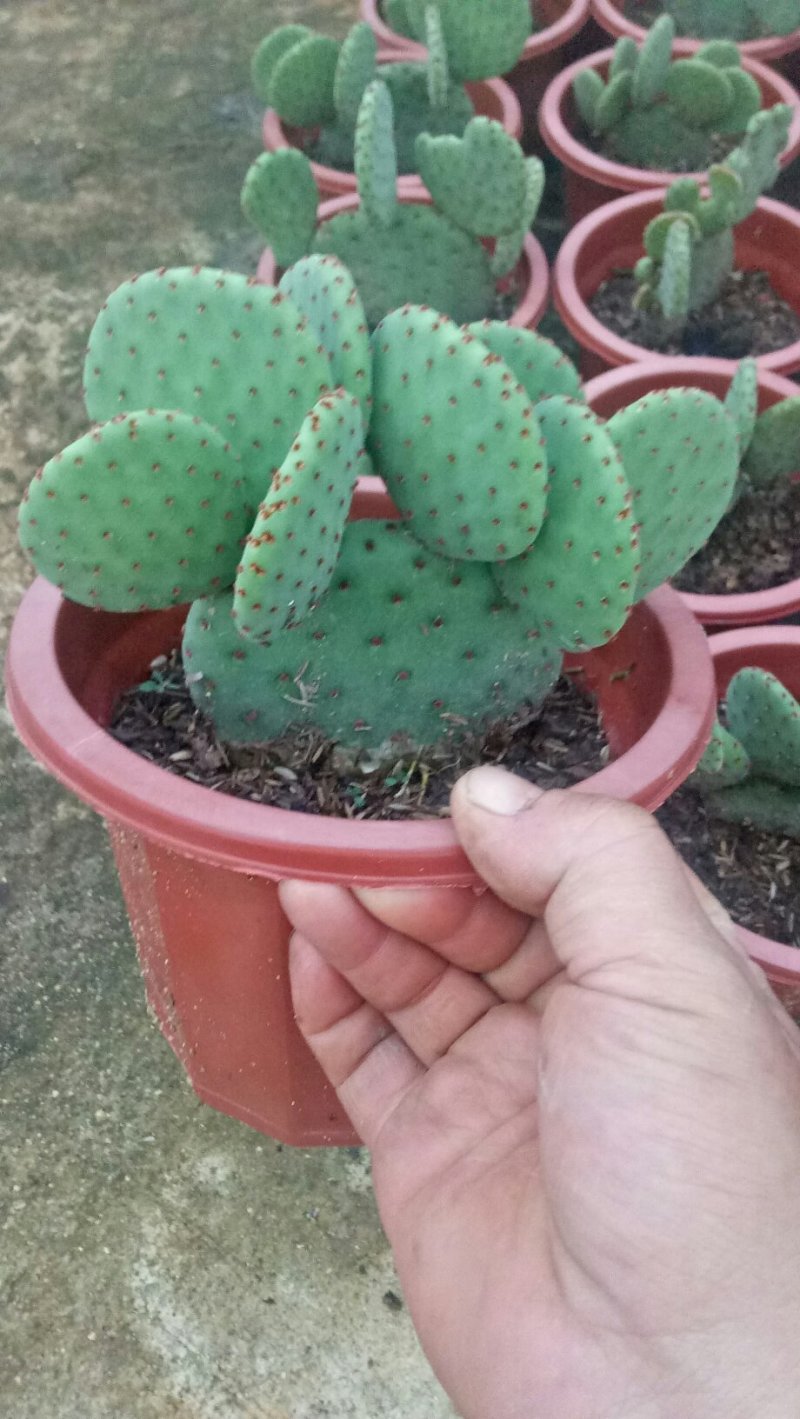 有您喜欢的吗？