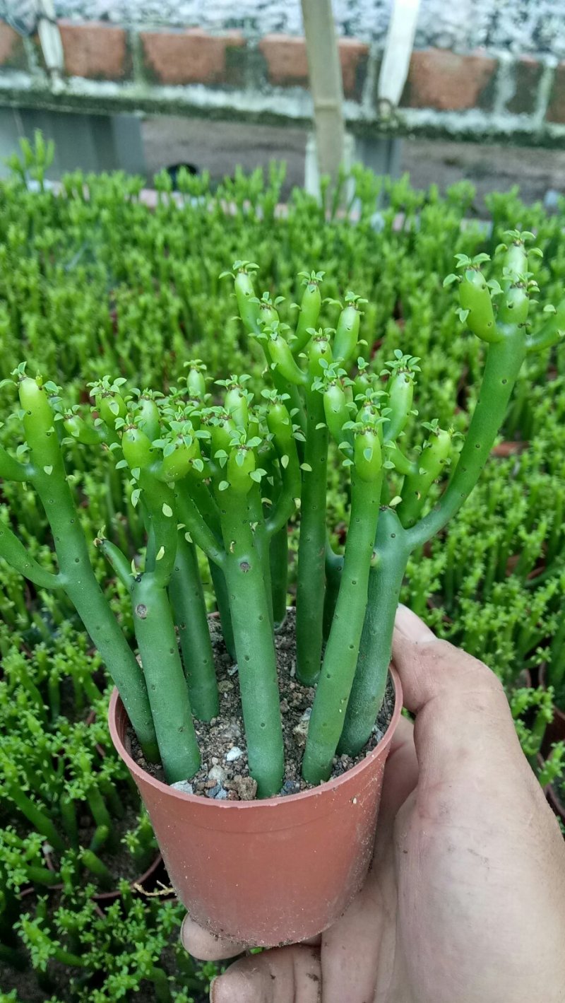 有您喜欢的吗？