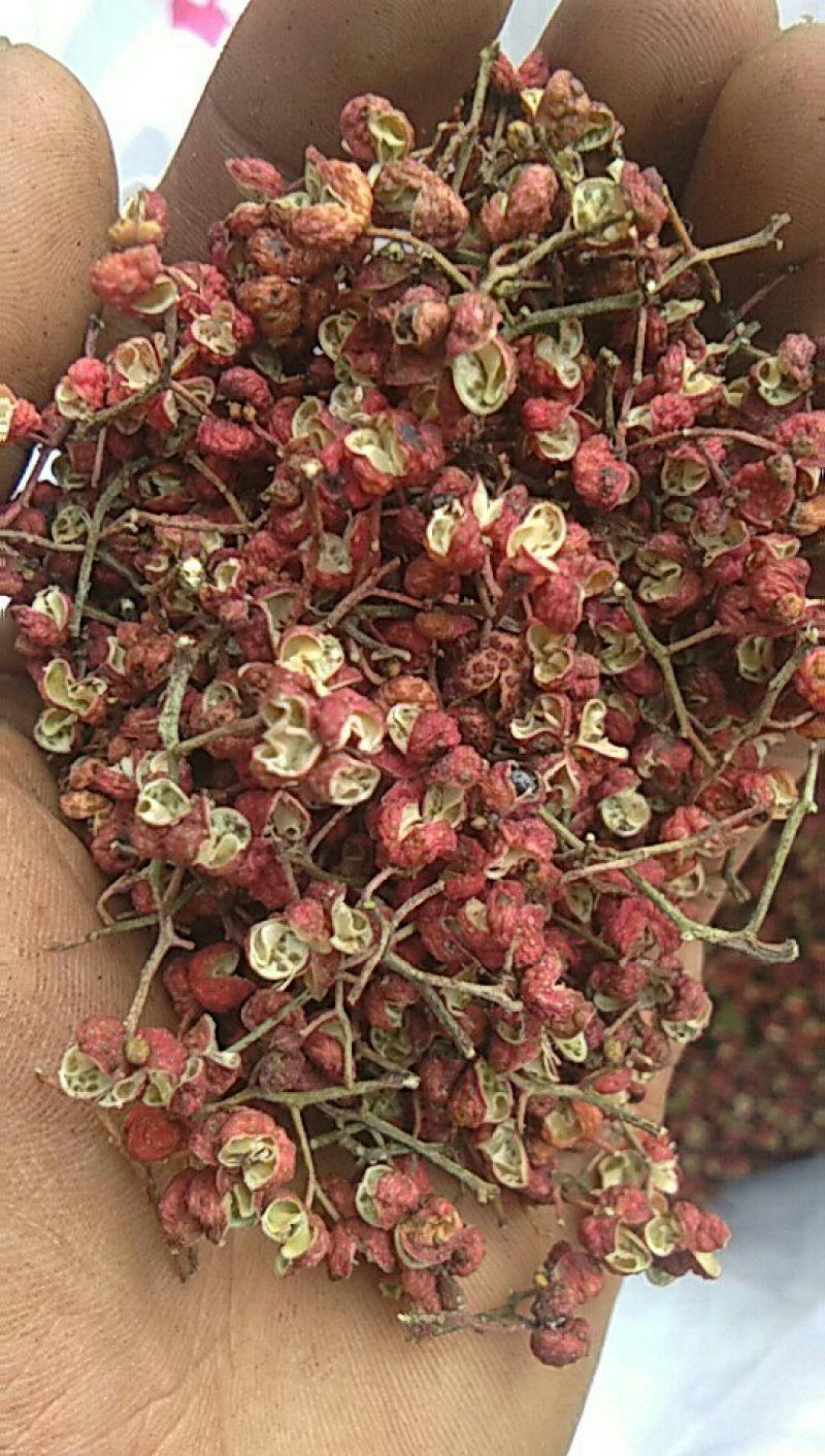 朋辉家花椒