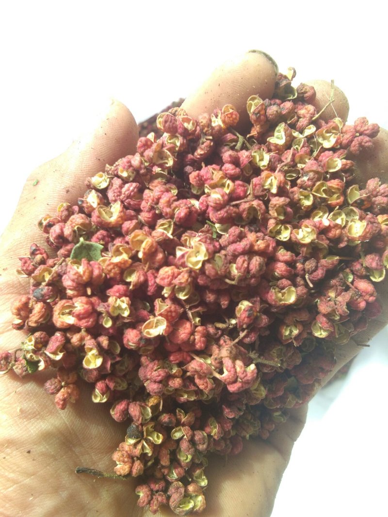朋辉家花椒