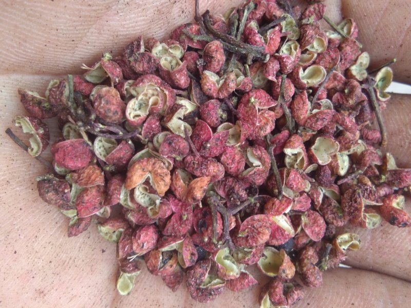 朋辉家花椒