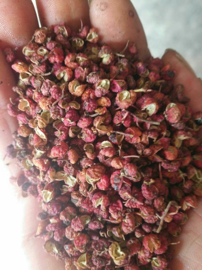 朋辉家花椒