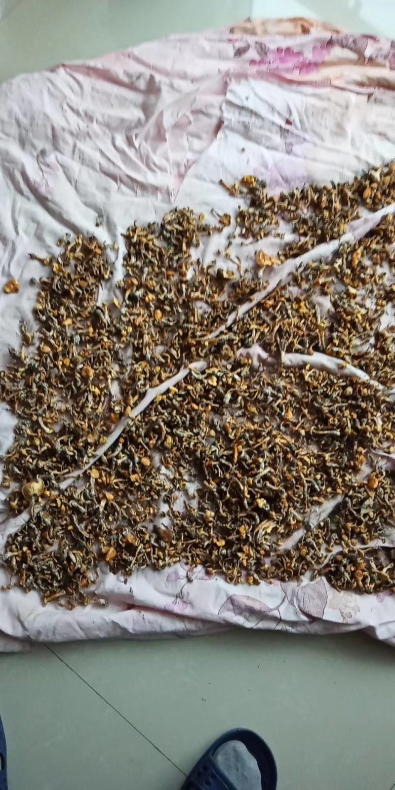 野生白鲜皮干.圆珠干.榛蘑.松蘑质量好