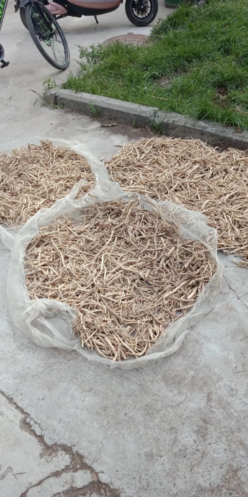 野生白鲜皮干.圆珠干.榛蘑.松蘑质量好