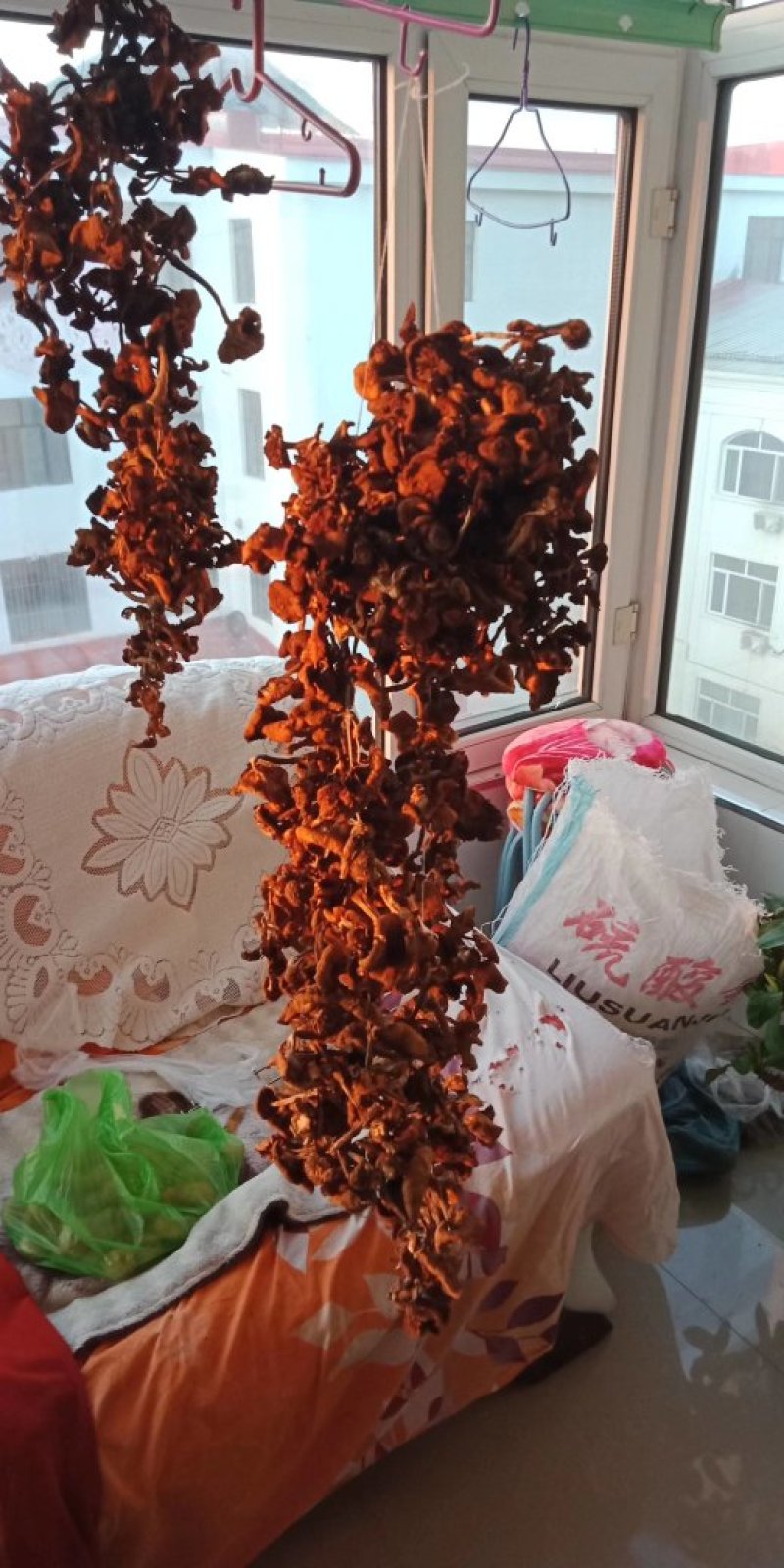 野生白鲜皮干.圆珠干.榛蘑.松蘑质量好