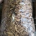 檀香含量足做香都可以1斤起包邮量大从优