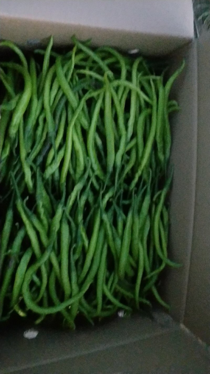 鲜辣椒