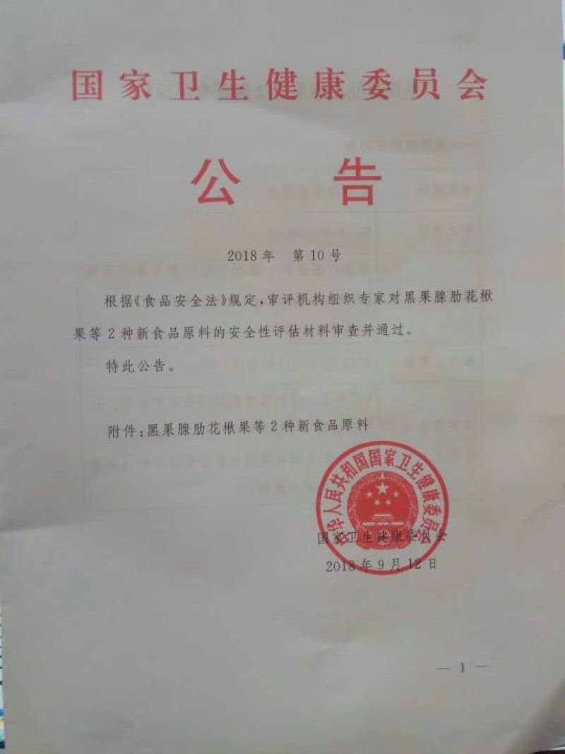 富康源1号黑果花楸果实
