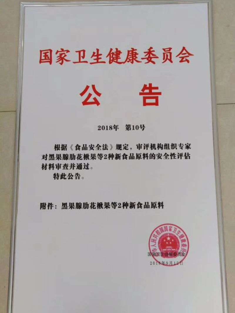 黑果花楸树苗