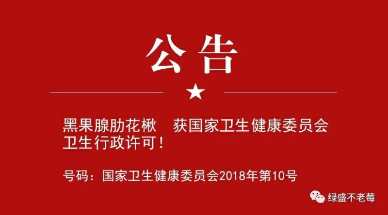 黑果花楸树苗