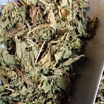 桑叶草药批发零售各种规格中药材中药材