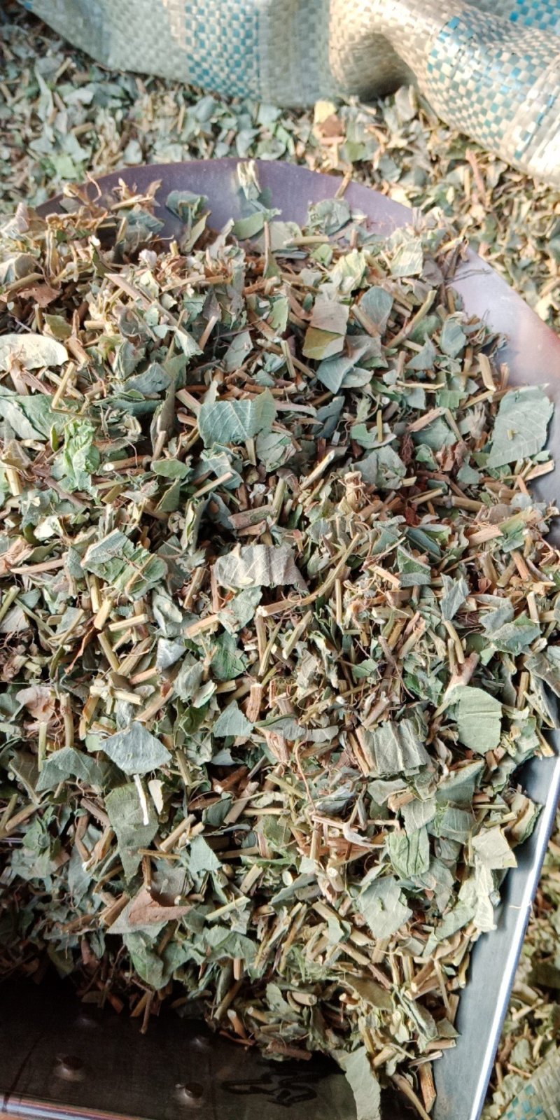 金钱草大叶金钱草小叶金钱草无硫净货中药材